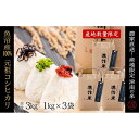 【ふるさと納税】【2025年産新米】元祖魚沼産従来コシヒカリ 3kg 産地限定!農家直送
