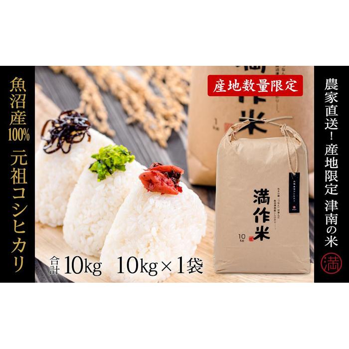 【ふるさと納税】【2025年産新米】元祖魚沼産従来コシヒカリ 10kg 産地限定!農家直送