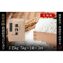 【ふるさと納税】【2025年産新米】【3ヶ月定期便】合計15kg 5kg×3回 特栽魚沼産コシヒカリ