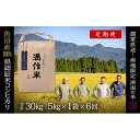 【ふるさと納税】【2025年産新米】【6ヶ月定期便】合計30kg 5kg×6回 特栽魚沼産コシヒカリ