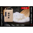 【ふるさと納税】【2025年産新米】【12ヶ月定期便】合計60kg 5kg×12回 特栽魚沼産コシヒカリ