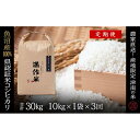 【ふるさと納税】【2025年産新米】【3ヶ月定期便】合計30kg 10kg×3回 特栽魚沼産コシヒカリ