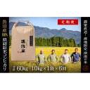 【ふるさと納税】【2025年産新米】【6ヶ月定期便】合計60kg 10kg×6回 特栽魚沼産コシヒカリ