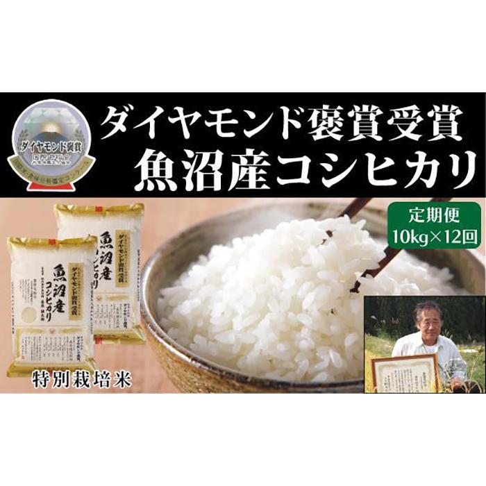 【ふるさと納税】【毎月定期便　12ヵ月】最高級魚沼産こしひかり　【ダイヤモンド褒賞受賞　特別栽培米】 10kg（5kg ×2）×全12回