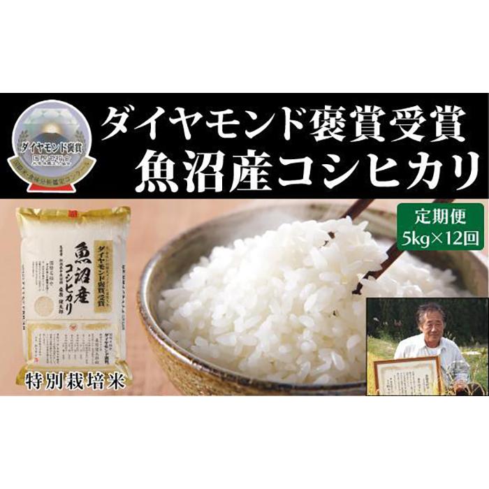 【ふるさと納税】【毎月定期便　12ヵ月】最高級魚沼産こしひか