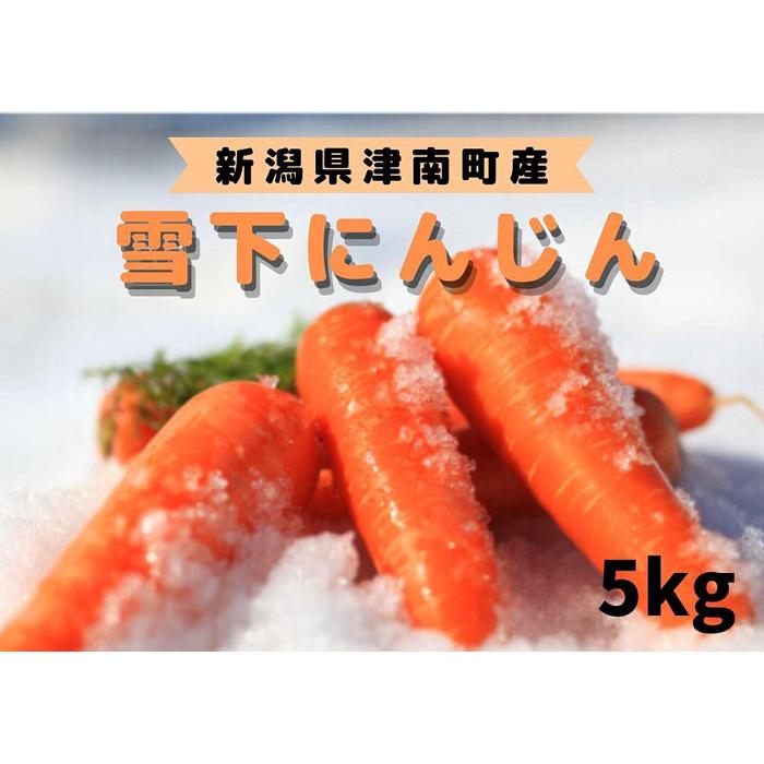 【ふるさと納税】【季節限定】雪国ならではの逸品！津南町の雪下にんじん（5kg）