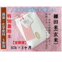 【ふるさと納税】【2025年産新米】【3ヶ月定期便】【農薬化学肥料5割減】魚沼コシヒカリ 苗場プリンセス 特別栽培米 玄米 30kg(30kg×1袋)計90kg