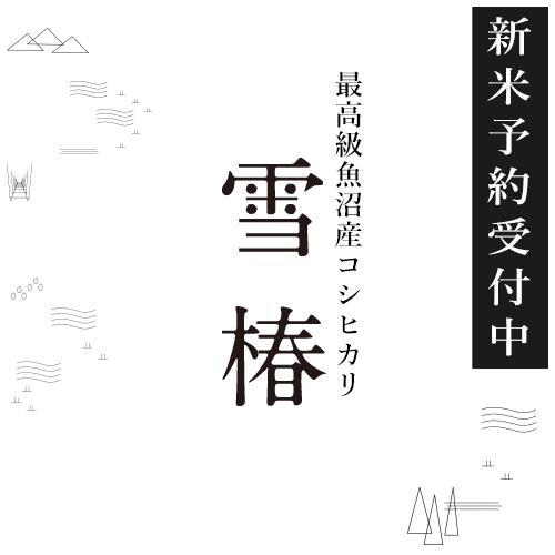 【ふるさと納税】【頒布会】令和6年産新米予約 期間限定 最高