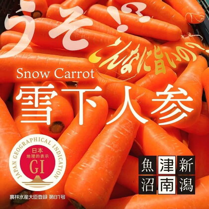 雪国が生んだ春の味覚 「雪下にんじん」 5kg ( 30本程度 )