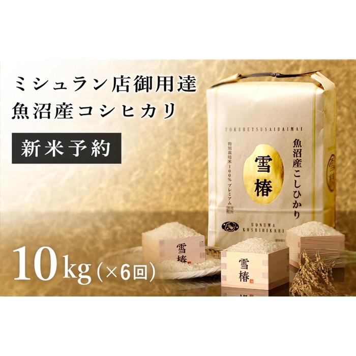 【ふるさと納税】【頒布会】令和6年産新米予約 期間限定 最高級魚沼産コシヒカリ「雪椿」10kg×全6回　特別栽培米