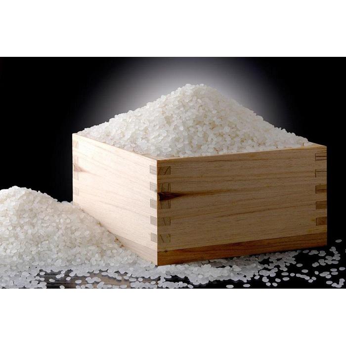 【ふるさと納税】無地熨斗付き【令和5年産 新米】【魚沼産コシヒカリ 無洗米10kg（5kg×2袋）】雪解け水がお米を育む、津南町特A地区の美味しいお米。