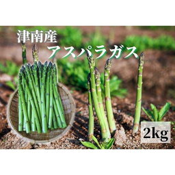 【ふるさと納税】【新潟県 津南町産】朝取りアスパラガス バラ詰め（L～2Lサイズ）2kg