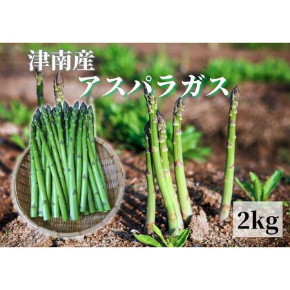 【新潟県 津南町産】朝取りアスパラガス バラ詰め（L～2Lサイズ）2kg