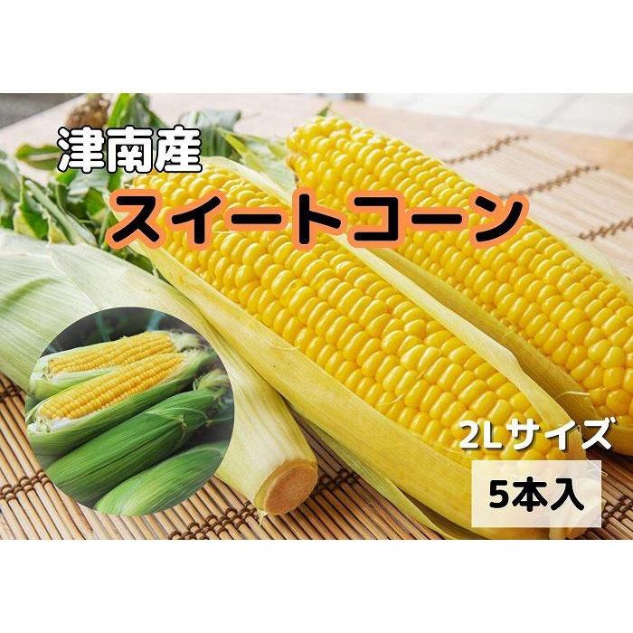 【ふるさと納税】【新潟県 津南町産】朝取りスイートコーン 2Lサイズ 5本（1本約400g）