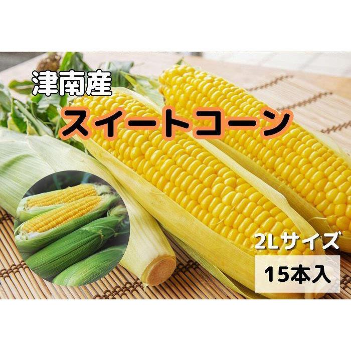【ふるさと納税】【新潟県 津南町産】朝取りスイートコーン 2Lサイズ 15本(1本約400g)