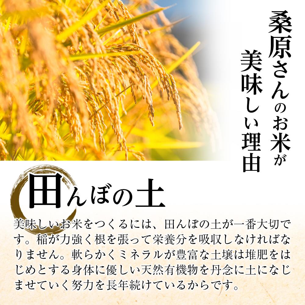 【ふるさと納税】【ダイヤモンド褒賞受賞米】 桑原さんのこだわり　魚沼産こしひかり　5kg