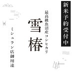 【ふるさと納税】【期間限定】令和6年産新米予約 最高級魚沼産コシヒカリ「雪椿」10kg(5kg×2袋)