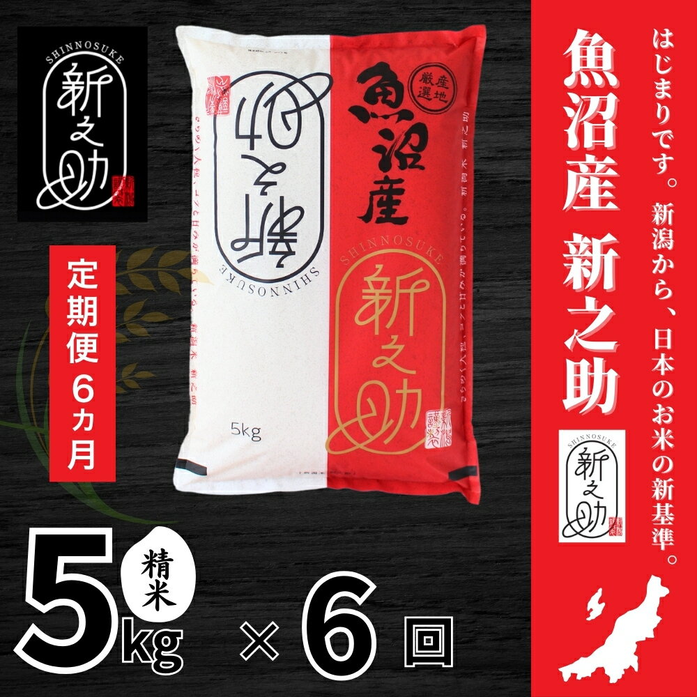 【ふるさと納税】 米 5kg 令和7年産 中魚沼産 新之助 選べる配送回数 | 魚沼産 しんのすけ お米 おこめ 米 こめ コメ 白米 精米 ご飯 ごはん ブランド米 おすすめ ギフト プレゼント 新潟県 津南町