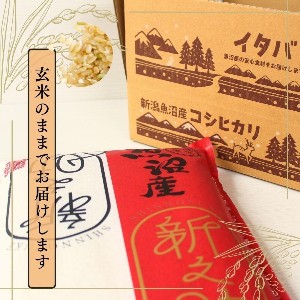 【ふるさと納税】 玄米 5kg 令和7年産 中魚沼産 新之助 | 魚沼産 うおぬま産 しんのすけ お米 おこめ 米 こめ コメ ご飯 ごはん ブランド米 おすすめ ギフト プレゼント 新潟県 津南町