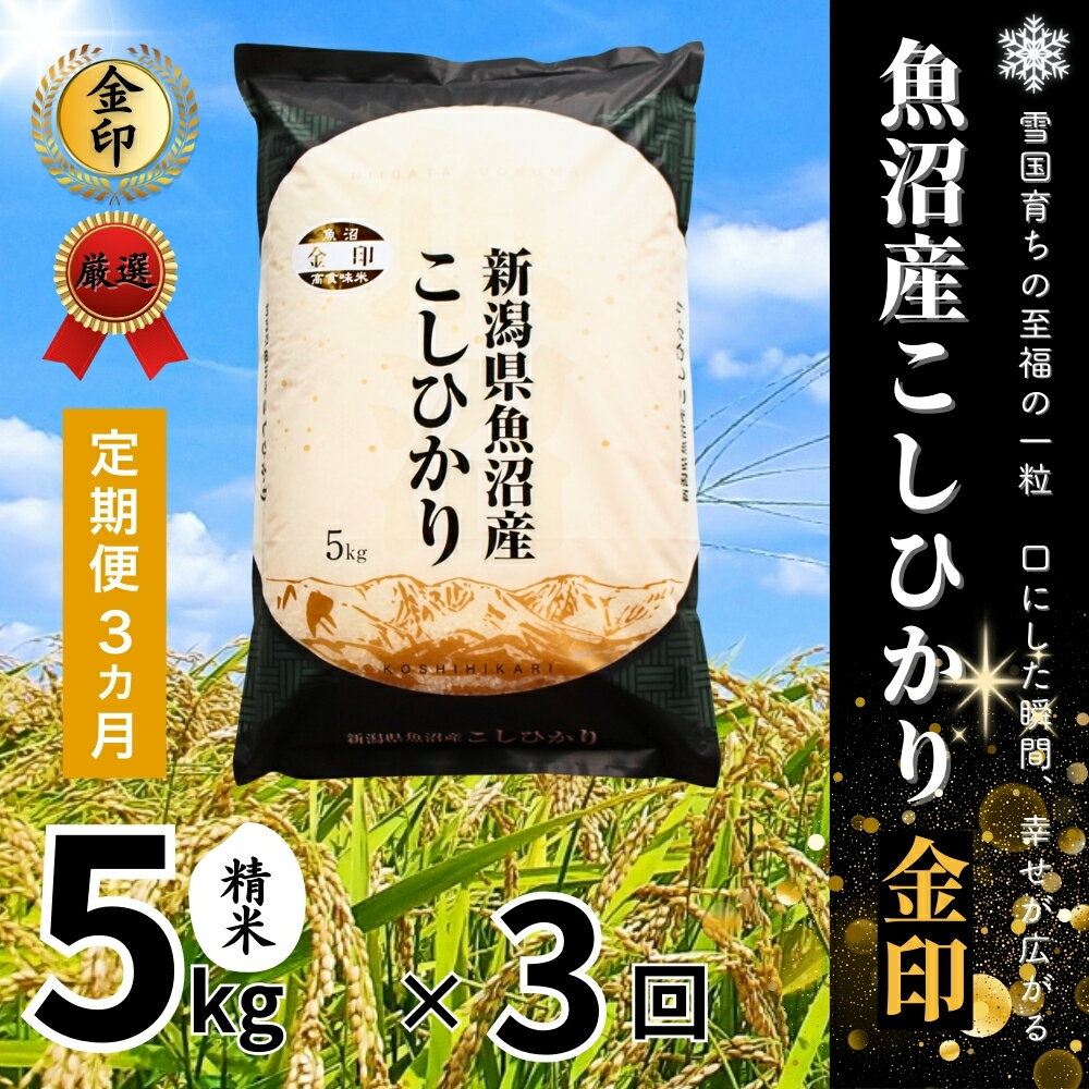 【ふるさと納税】 高食味米 5kg 令和7年産 新米 魚沼産 コシヒカリ 金印 ( 一等米の中から厳選 ) 選べる配送回数 | 白米 精米 こしひかり 米 こめ コメ お米 おこめ ブランド米 おすすめ 人気 ギフト 新潟県 津南町