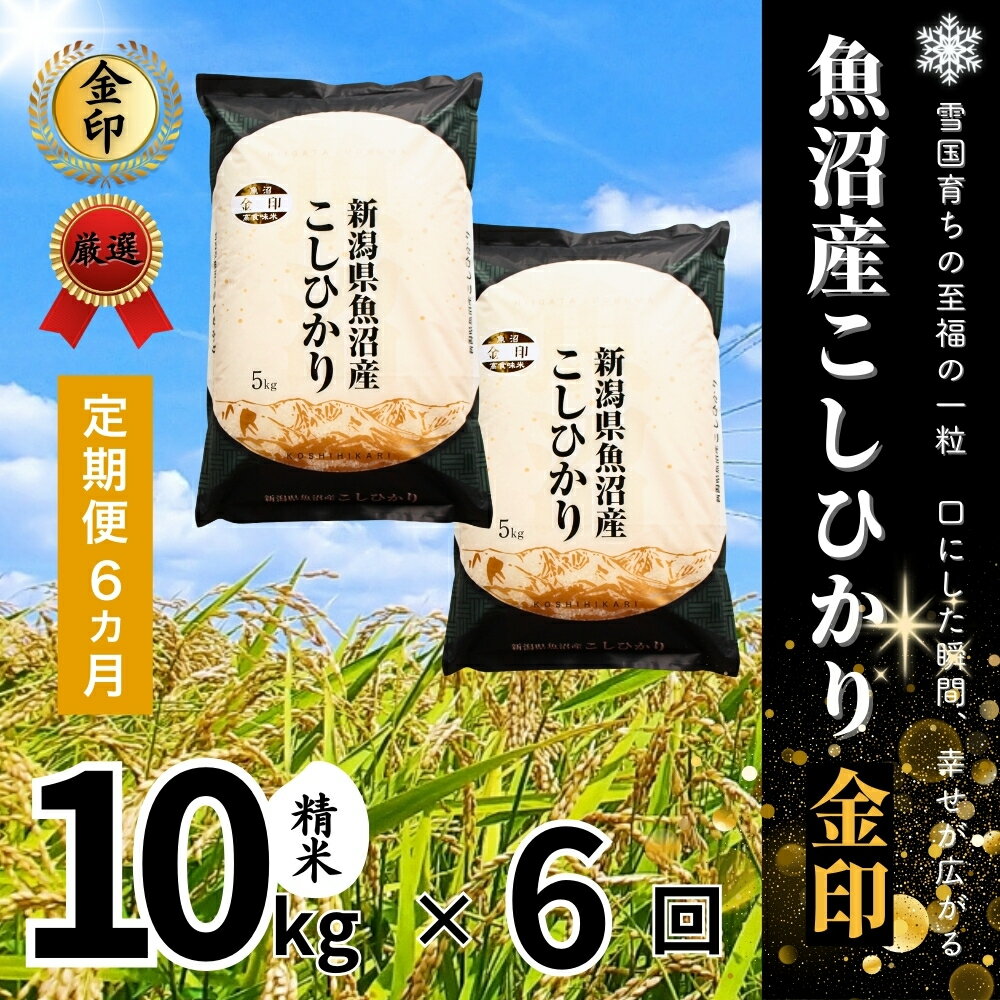 【ふるさと納税】 高食味米 10kg ( 5kg × 2袋 ) 令和7年産 新米 魚沼産 コシヒカリ 金印 ( 一等米の中から厳選 ) 選べる配送回数 | 白米 精米 こしひかり 米 こめ お米 ブランド米 おすすめ 新潟県 津南町