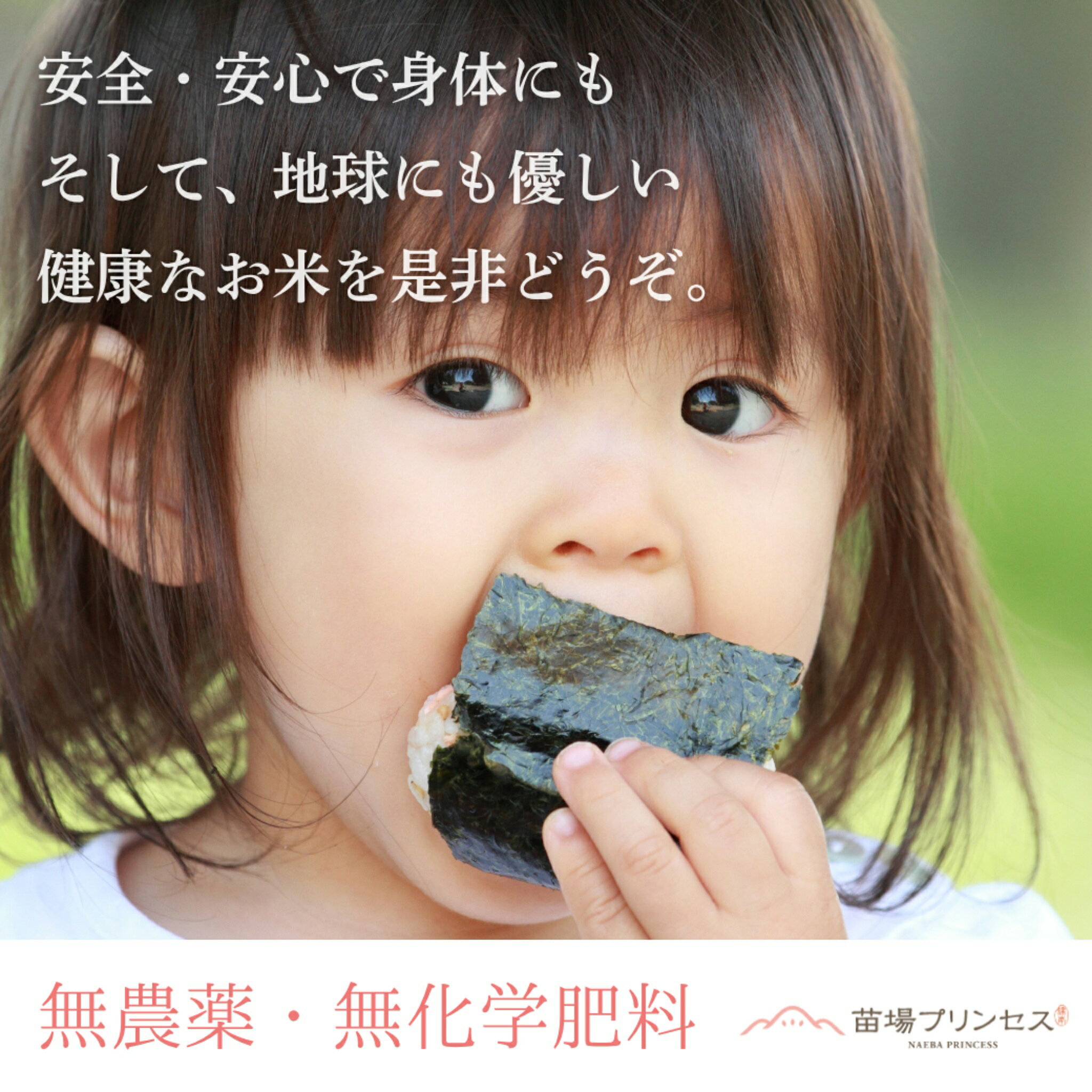【ふるさと納税】【令和8年産先行予約】 玄米 30kg(10kg×3袋) 魚沼産 にじのきらめき 苗場プリンセス 有機JAS認証米 | にじのきらめき 米 こめ お米 有機JAS ブランド米 おすすめ ギフト プレゼント 新潟県 津南町 f154822-tsunan-10000901 新潟県津南町 サンプル画像2
