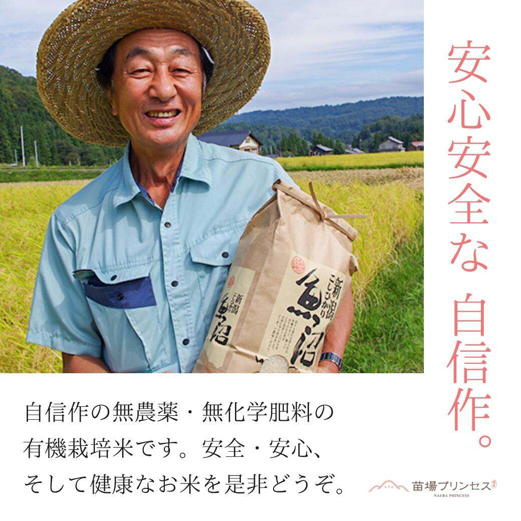 【ふるさと納税】【令和8年産先行予約】 玄米 30kg(10kg×3袋) 魚沼産 にじのきらめき 苗場プリンセス 有機JAS認証米 | にじのきらめき 米 こめ お米 有機JAS ブランド米 おすすめ ギフト プレゼント 新潟県 津南町 f154822-tsunan-10000901 新潟県津南町 サンプル画像3