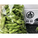 【ふるさと納税】新潟県刈羽村産 早生茶豆1kg(500g×2パック)【配送不可地域:離島・北海道・沖縄県】【1546655】