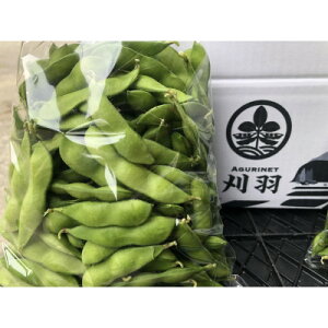 【ふるさと納税】新潟県刈羽村産 早生茶豆3kg(500g×6パック)【配送不可地域:離島・北海道・沖縄県】【1546657】