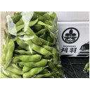 【ふるさと納税】新潟県刈羽村産 中生茶豆3kg(500g×6パック)【配送不可地域:離島・北海道・沖縄県】【1546660】