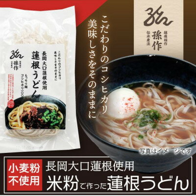 【ふるさと納税】米粉麺 うどん グルテンフリー 128g×6食パック【1563088】