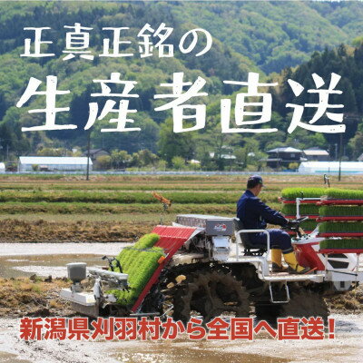 新潟県刈羽村の画像3