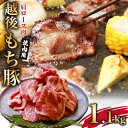 【ふるさと納税】やわらかで肉厚 越後もち豚肩ロース 焼肉用1.1kg【配送不可地域:離島】【1117862】