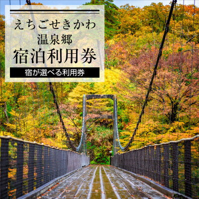 【ふるさと納税】えちごせきかわ温泉郷宿泊利用券(3,000円分)【1278597】