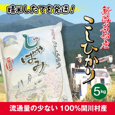 【ふるさと納税】山口ファームのお米 こしひかり5kg「じゃばみ」【1301721】