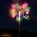 【ふるさと納税】思い出花火 打ち上げ【鶴(6号)】(えちごせきかわ大したもん蛇まつり花火大会)【配送不可地域:離島・北海道・沖縄県】【1312842】