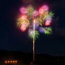 【ふるさと納税】思い出花火 打ち上げ【鶴(6号)】(えちごせきかわ大したもん蛇まつり花火大会)【配送不可地域：離島・北海道・沖縄県】【1312842】