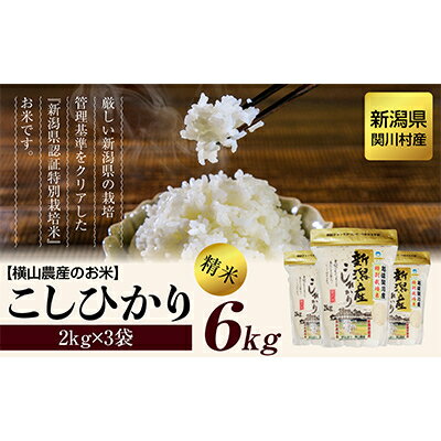 【ふるさと納税】横山農産のお米 こしひかり精米6kg(2kg×3袋)【1347088】