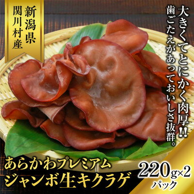 【ふるさと納税】関川村産あらかわプレミアムジャンボ生キクラゲ220g×2パック【配送不可地域:離島】【1442523】