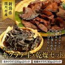【ふるさと納税】あらかわキクラゲ生・乾燥セット(生キクラゲ220g×2パック・乾燥キクラゲ30g×2パック)【配送不可地域:離島】【1442531】