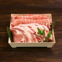 【ふるさと納税】柔らかジューシー!越後もち豚ロース (しゃぶしゃぶ用500g・とんかつ用400g) 計900gセット【配送不可地域:離島】【1644016】