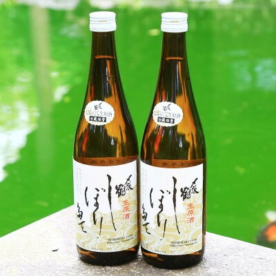 [冬季限定][12月下旬発送予定]蔵出し 〆張鶴しぼりたて生原酒720ml×2本 関川の味[配送不可地域:離島]