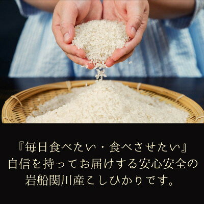 【ふるさと納税】[先行予約] R8年産 岩船産こしひかり 精米5kg ふっくら美味しい [横山農産]【1737353】 f155811-sekikawa-10000350 新潟県関川村 サンプル画像2