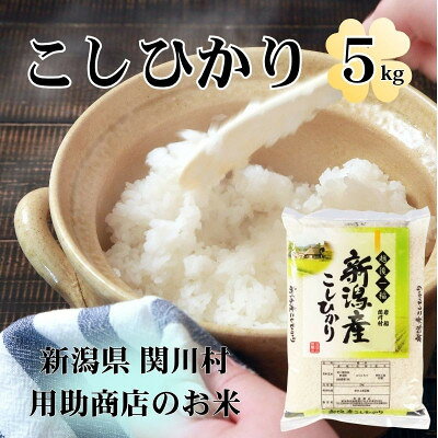 【ふるさと納税】R8年産 土作りからこだわった岩船産コシヒカリ 精米5kg[用助商店]【1779005】