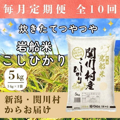 【毎月定期便】炊きたてつやつや 新潟関川村産 岩船米こしひかり精米 5kg全10回【4079665】