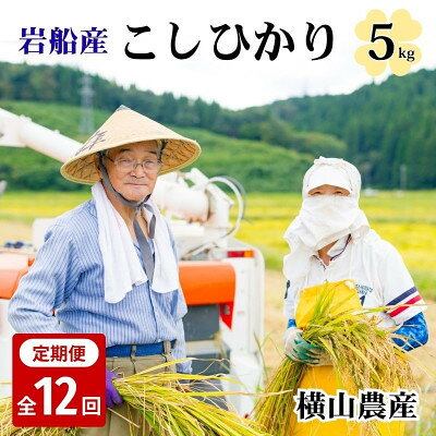 【ふるさと納税】【毎月定期便】関川村産こしひかり5kg ふっくら美味しさ 岩船米 [横山農産]全12回【4091638】