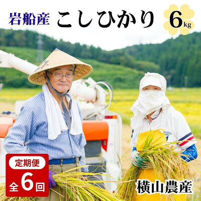 【ふるさと納税】【毎月定期便】関川村産こしひかり6kg(2kg×3袋)ふっくら美味しさ 岩船米 [横山農産]全6回【4091640】