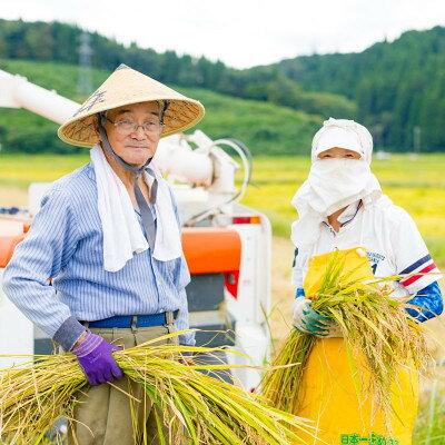 【ふるさと納税】【毎月定期便】関川村産こしひかり5kg ふっくら美味しさ 岩船米 [横山農産]全3回【4091653】