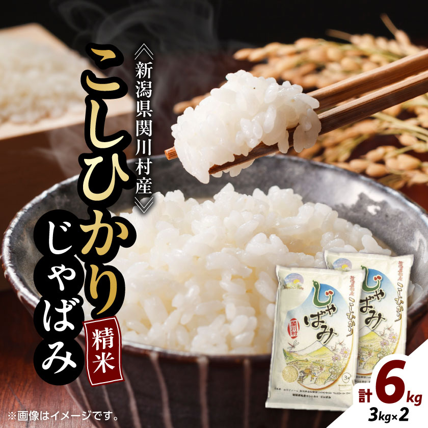 【ふるさと納税】ふっくら食感!R7年産 関川村産コシヒカリ6kg(3kg×2) 丁寧に育てた贅沢米 [山口ファーム]_ 米 こめ コメ おこめ 精米 精白米 こしひかり お米 国産 新潟県 産地直送 ブランド米 贈答 ギフト 白米 ごはん 白飯 2袋 じゃばみ 【1344366】