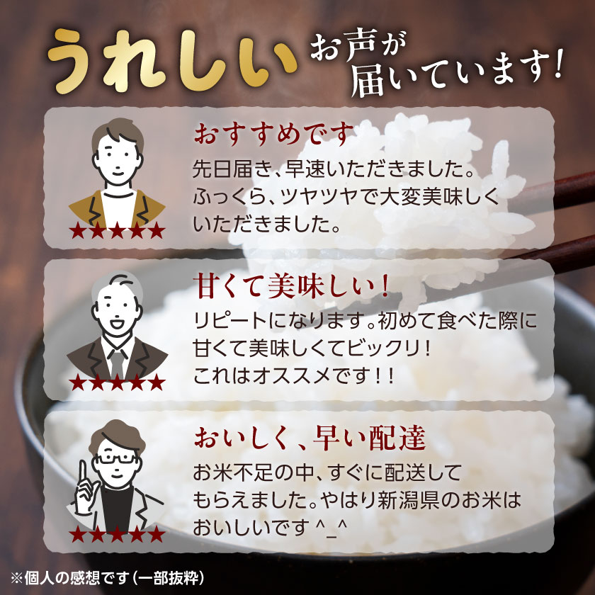 【ふるさと納税】ふっくら食感!R7年産 関川村産コシヒカリ6kg(3kg×2) 丁寧に育てた贅沢米 [山口ファーム]_ 米 こめ コメ おこめ 精米 精白米 こしひかり お米 国産 新潟県 産地直送 ブランド米 贈答 ギフト 白米 ごはん 白飯 2袋 じゃばみ 【1344366】